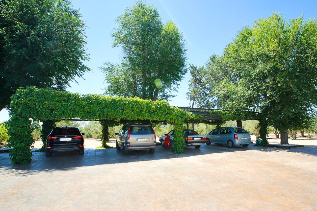 Villa Senia Tomaset III Onil Esterno foto